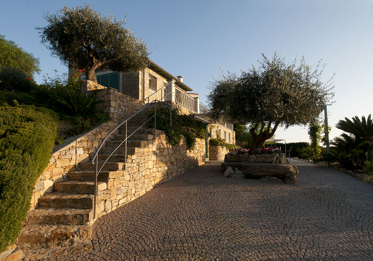 ritratto architetto micol maiga con il cane